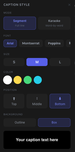 Caption style panel with font, size, color and position controls